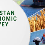Economic Survey 2024–25 by Pakistan News Beat