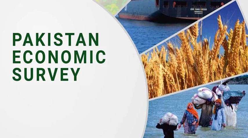 Economic Survey 2024–25 by Pakistan News Beat
